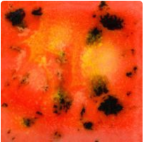 Mayco CG-1002 Day Lily 118ml