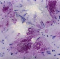 Mayco CG-1006 Purple Reign 118ml