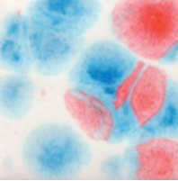 Mayco S-2731 Kaboon 118ml