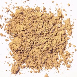 Old Gold Stain 13H5060