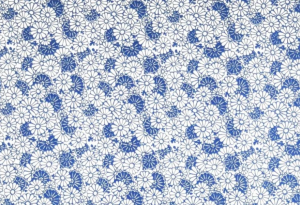 Chrysanthemum T/Transfer