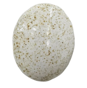 White Speckle Stoneware Brush-on Glaze 500ml - Northcote