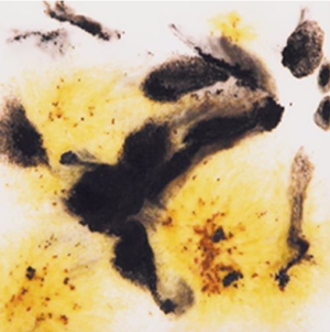 Mayco S-2726 Cheetah 118ml