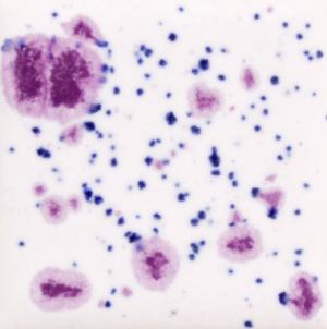 Mayco CG-1011-Frosted Berries 118ml